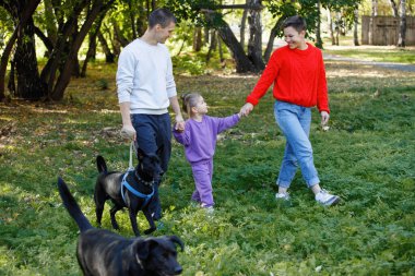 Üç kişilik genç bir aile: anne, baba ve kız köpeklerle parkta yürüyorlar..