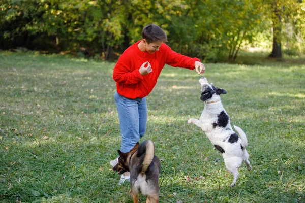 Fiatal Játszik Kutyákkal Gyepen Egy Nyári Parkban — Stock Fotó