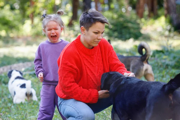 Menina Chorando Lado Mamãe Cães Parque Verão — Fotografia de Stock