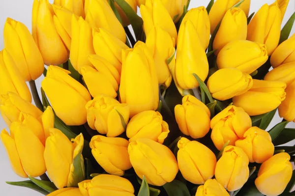 Ramo Amarillo Tulipanes Flores Primavera Sobre Fondo Blanco Aislado —  Fotos de Stock