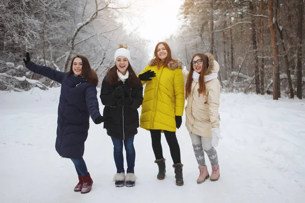 長い髪のスカーフとジャケットを着た4人の若い女性が 雪の森の中で新鮮な空気の中で道路に立っています 美しさ 健康的なライフスタイル — ストック写真