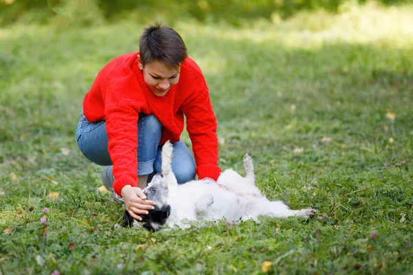 Young Woman Plays Dogs Lawn Summer Park — Stock Photo, Image