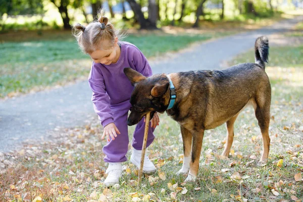 Kislány Lila Öltönyben Kutyával Egy Nyári Parkban — Stock Fotó