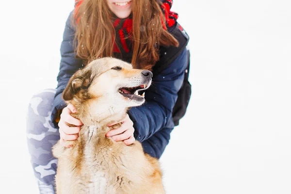 Mädchen Spielt Winter Mit Mischlingshund Schnee — Stockfoto