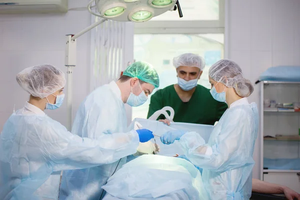 Equipe Cirurgiões Anestesiologista Enfermeiro Durante Cirurgia Sala Cirurgia — Fotografia de Stock