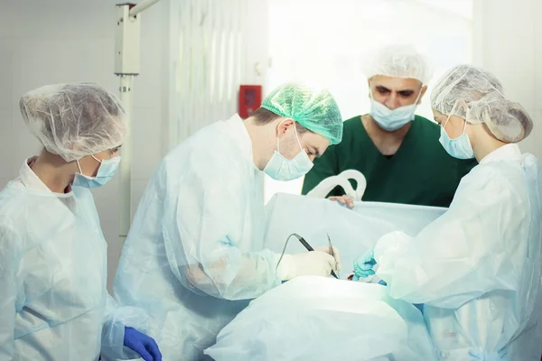 Surgeon Team Anesthesiologist Nurse Surgery Operating Room — Stock Photo, Image