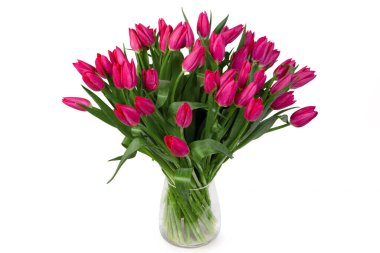 Buket pembe laleler, beyaz izole bir arka planda vazoda bahar çiçekleri..