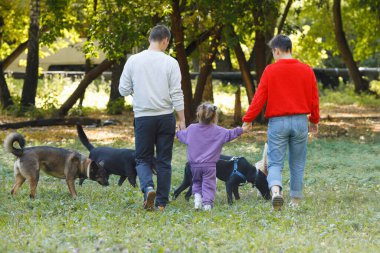 Üç kişilik genç bir aile: anne, baba ve kız köpeklerle parkta yürüyorlar. Arka plan.