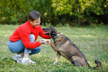 Genç bir kadın bir yaz parkında çimlerde köpeklerle oynuyor..
