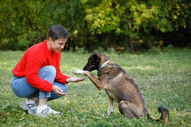 Genç bir kadın bir yaz parkında çimlerde köpeklerle oynuyor..