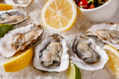 İstiridye, limon, limon, marul, buzlu kiraz. Önplanda seçili odak.