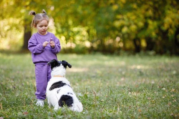 Kislány Lila Öltönyben Kutyával Egy Nyári Parkban — Stock Fotó
