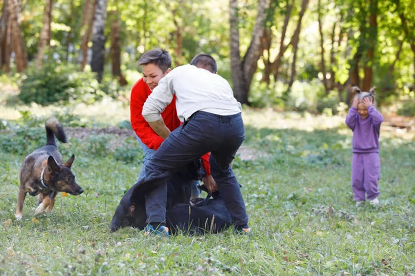 Dogs got into a fight, people calm them down in a city park in summer.