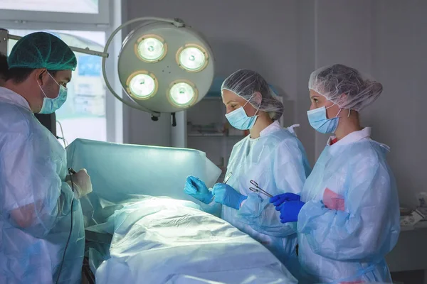 Tres Cirujanos Durante Cirugía Abdominal Uniformes Azules Guantes Látex Instrumentos — Foto de Stock