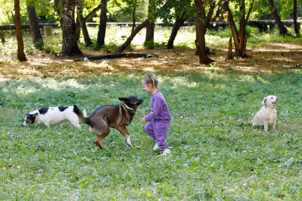 Niña Traje Morado Con Perros Parque Verano —  Fotos de Stock