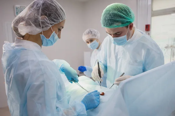 患者は手術台の上に横たわっている 外科医チームは手術を開始する準備ができています — ストック写真