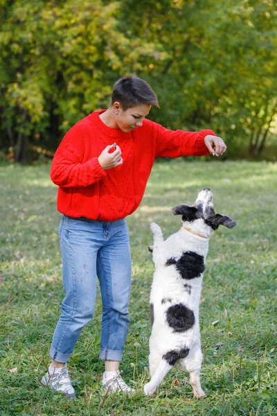 Young woman plays with dogs on the lawn in a summer park.