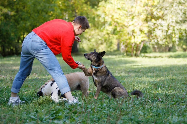 Jovem Joga Com Cães Gramado Parque Verão — Fotografia de Stock