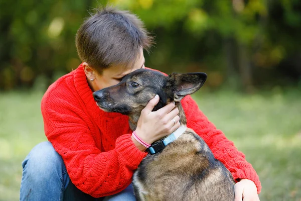 Young Woman Plays Dogs Lawn Summer Park — Stock Photo, Image