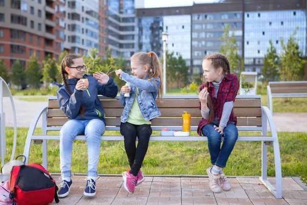 Adolescentes Comem Banco Parque Cidade Comida Saudável Lancheira Pessoas Crianças — Fotografia de Stock