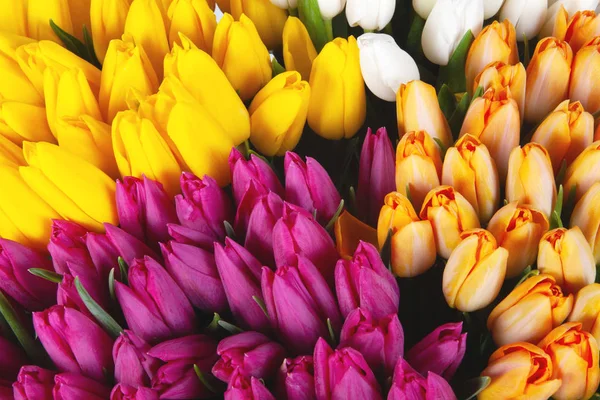 Bukiet Żółty Różowy Tulipany Wiosenne Kwiaty Bliska Tło — Zdjęcie stockowe