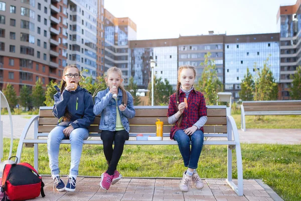 Девочки Подростки Едят Скамейке Городском Парке Здоровая Еда Коробка Завтраков — стоковое фото