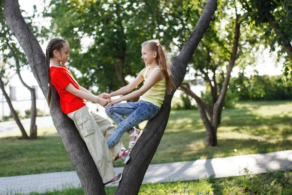 Two teen girls climbed a tree, play, have fun and enjoy summer in the city park.