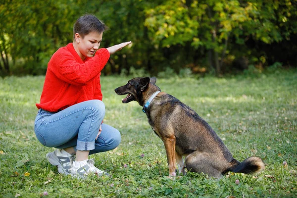 Mujer Joven Juega Con Perros Césped Parque Verano —  Fotos de Stock