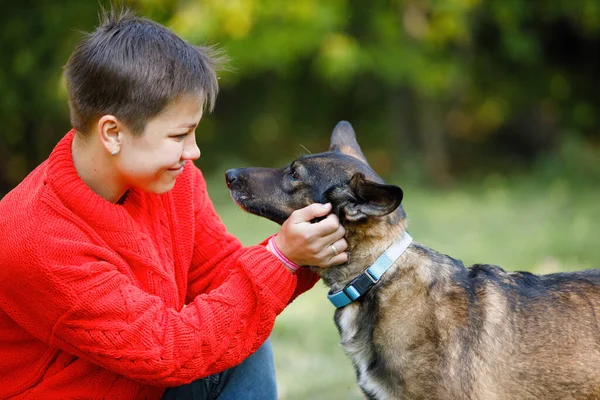 Mujer Joven Juega Con Perros Césped Parque Verano —  Fotos de Stock