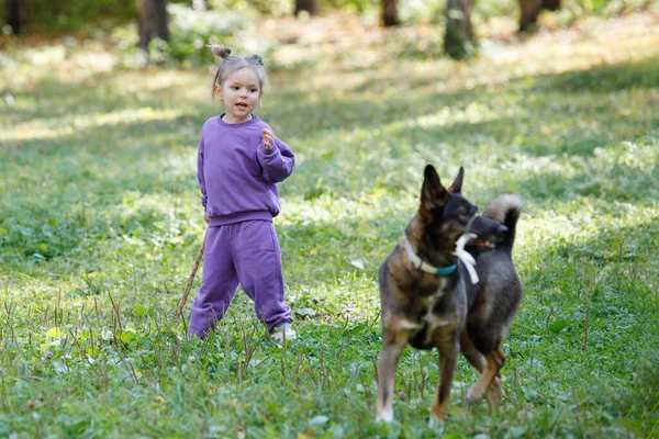 Menina Terno Roxo Com Cão Parque Cidade Verão — Fotografia de Stock