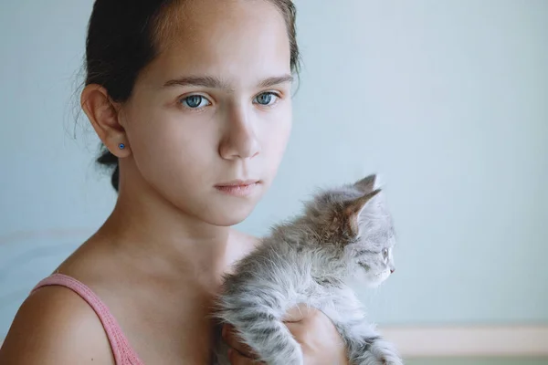 Chica Abrazos Lindo Dulce Gatito Gris Esponjoso Juguetón — Foto de Stock