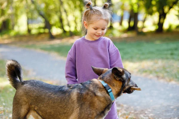 Little Girl Purple Suit Dog Summer City Park — Stock Photo, Image