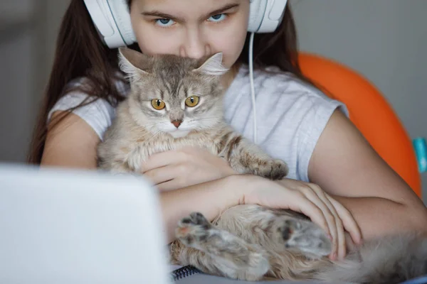 Adolescente Dans Casque Une Table Avec Ordinateur Portable Tient Chat — Photo