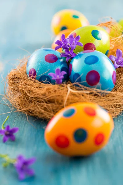 Цветные пасхальные яйца с весенними цветами — стоковое фото