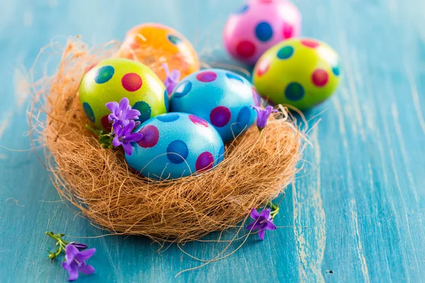 Coloridos huevos de Pascua con flores de primavera — Foto de Stock