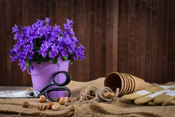 Посадка цветов с садовыми инструментами — стоковое фото