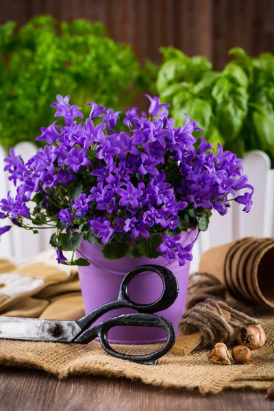 Sadzenie kwiatów z narzędzia ogrodnicze — Zdjęcie stockowe
