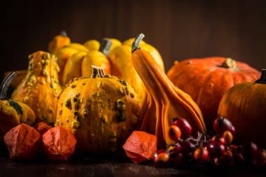 Şükran günü için kabak natürmort 