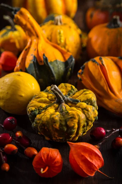 Pompoen stilleven voor Thanksgiving — Stockfoto