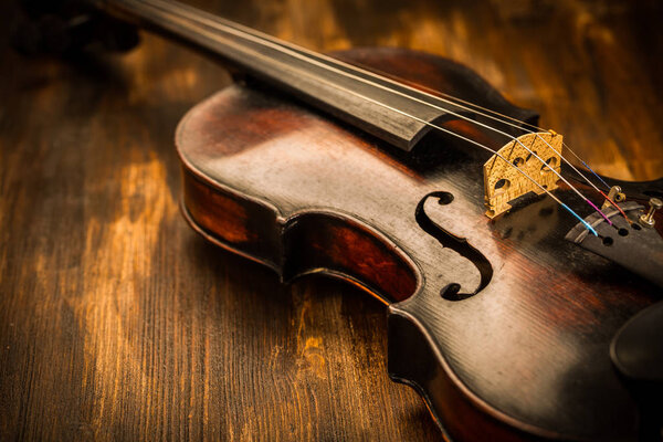 Violin in vintage style on wood background