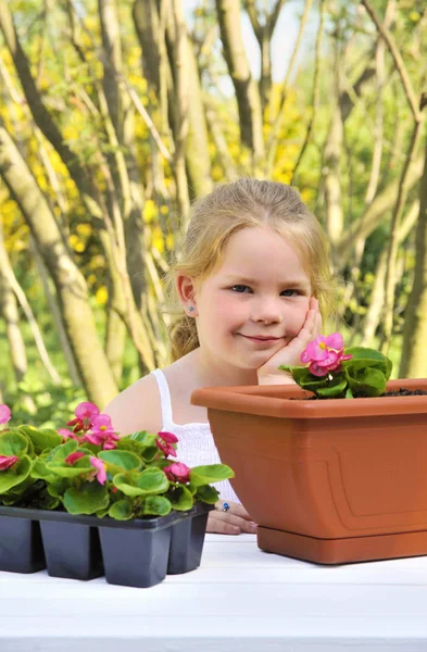 Little girl gardening, planting begonia seedlings in garden, happy child and flowers in pots — Stock Photo, Image