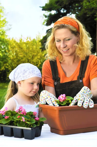 Jovem mulher e menina jardinagem na primavera, plantio de mudas de flores, mãe sorridente e seu filho feliz trabalhando no jardim — Fotografia de Stock