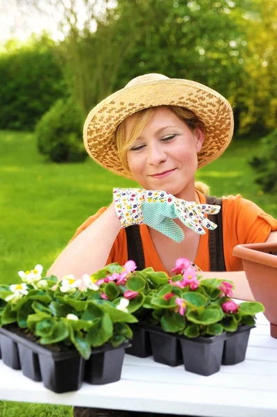 Junge Frau pflanzt Blumensämlinge, gärtnert im Frühling, pflanzt Begonien im Topf, lächelnde Frau arbeitet im Garten — Stockfoto