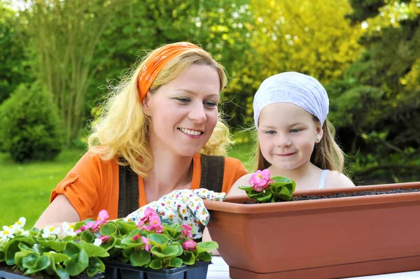 Молода жінка і маленька дівчинка навесні садівництво, посадка розсади квітів, усміхнена мати і її щаслива дитина працюють в саду Ліцензійні Стокові Фото