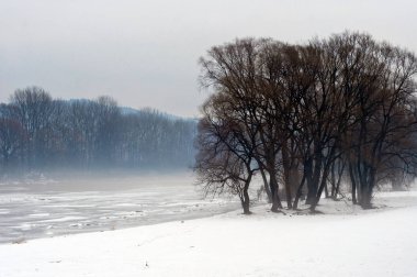 Kış manzara dağ bir ND nehir