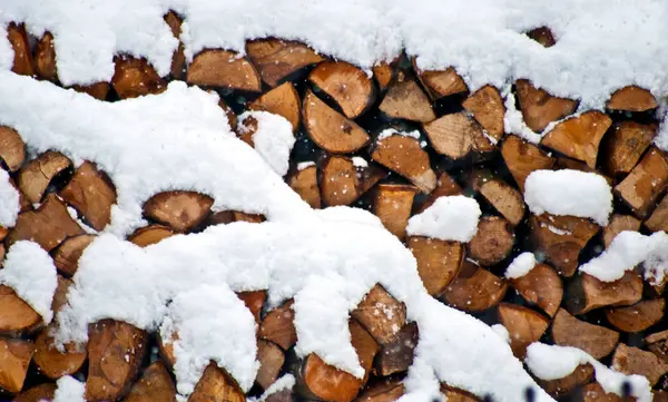Dřevo, protokoly a rozdělené kmeny — Stock fotografie