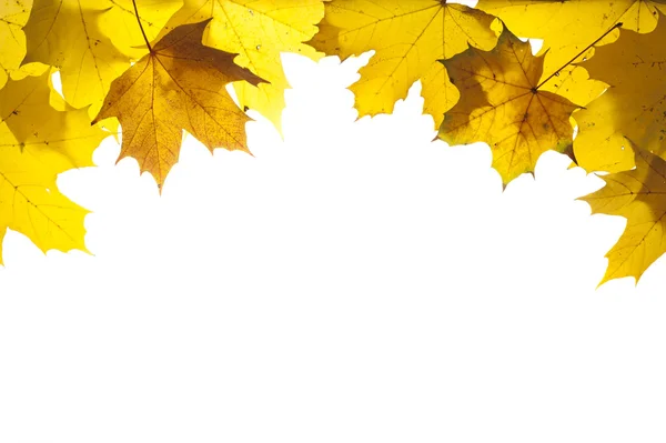 Marco con hojas de colores en otoño — Foto de Stock