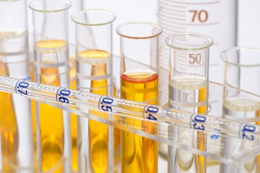 analiz için sarı sıvı kimyasal laboratuvar deney