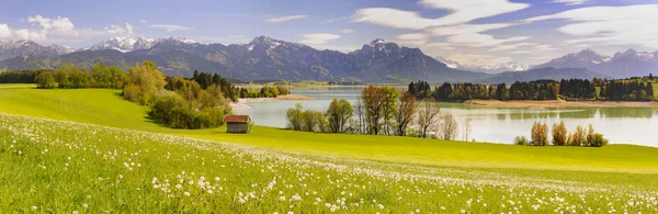 Scène Panoramique Bavière Allemagne Avec Montagnes Alpines Lac Printemps — Photo