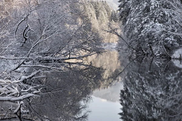 在德国巴伐利亚州河雪和冰的全景画面 — 图库照片